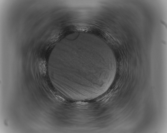X0000096681394200803041231