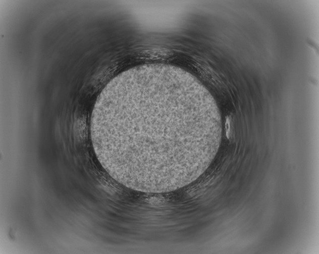 X0000096681395200803041231