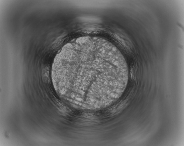 X0000096681396200803041231