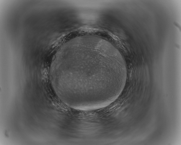 X0000096681397200803041231