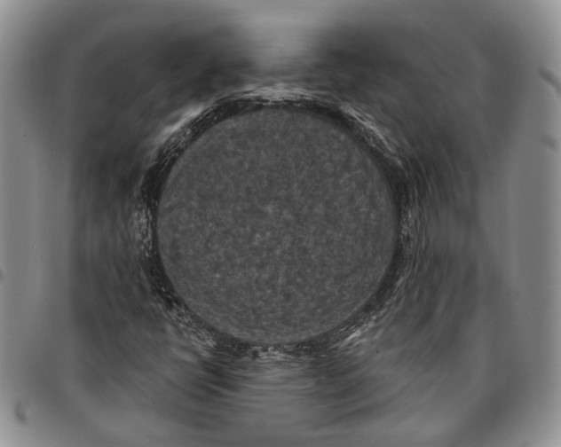 X0000096681398200803041231