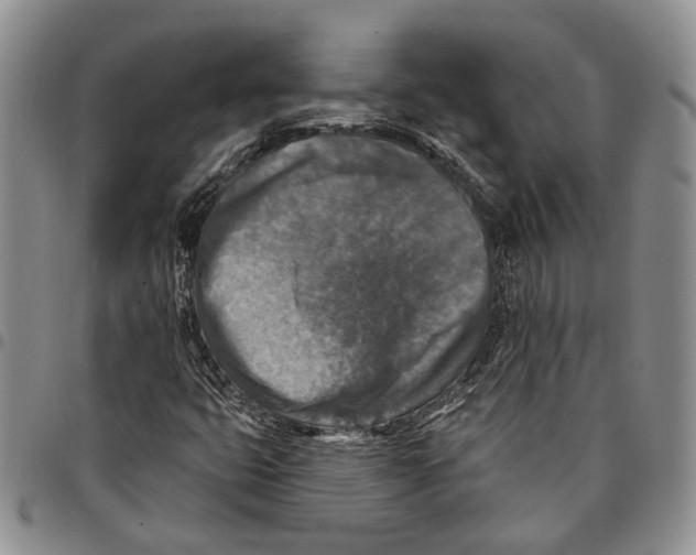X0000096681399200803041231