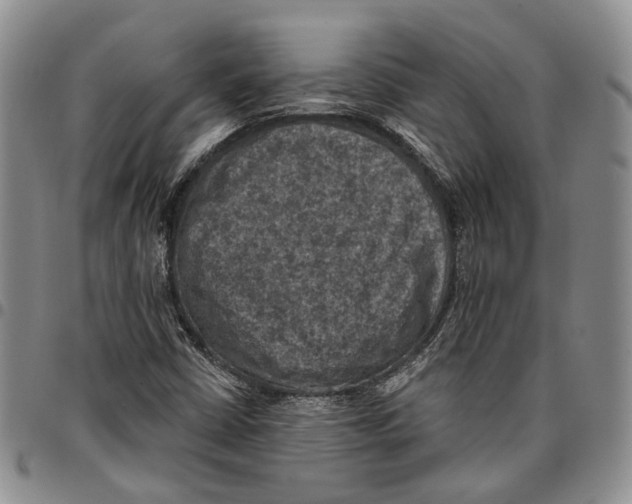 X0000096681402200803041231