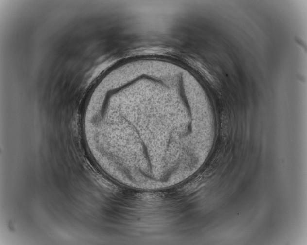 X0000096681404200803041231