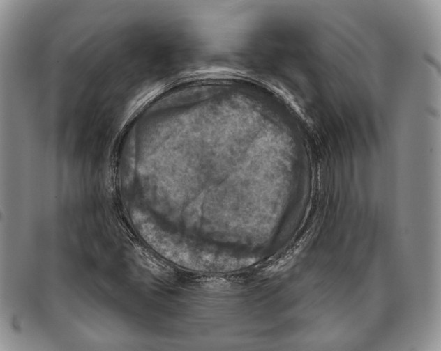 X0000096681405200803041231
