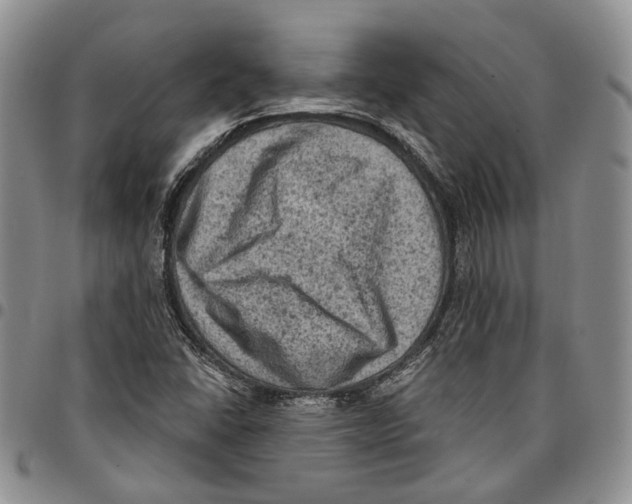 X0000096681406200803041231