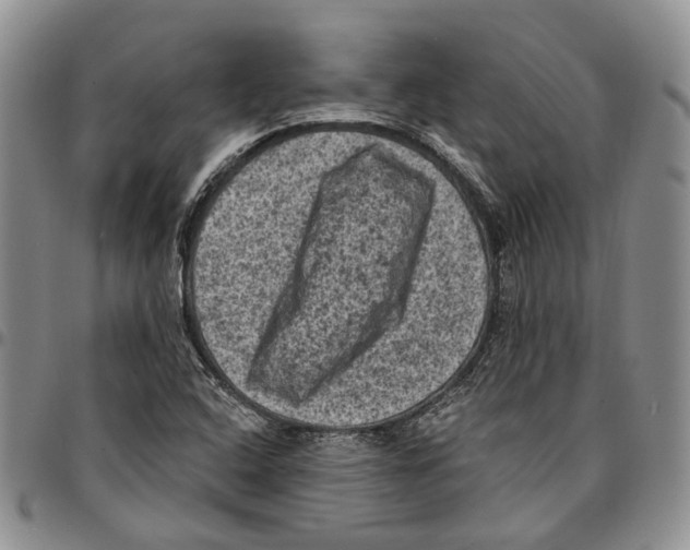 X0000096681408200803041231