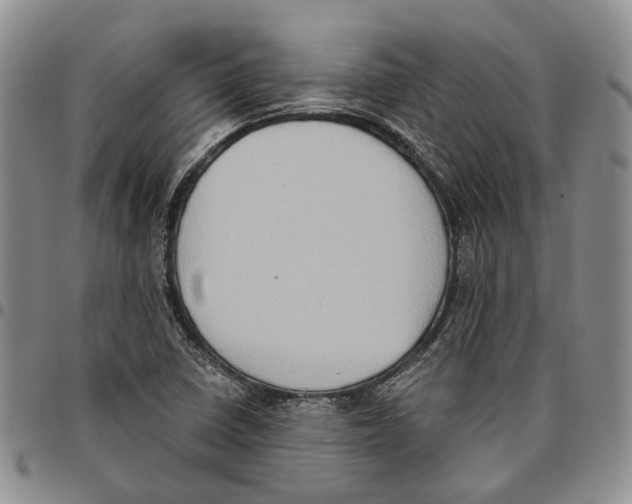 X0000096681410200803041231