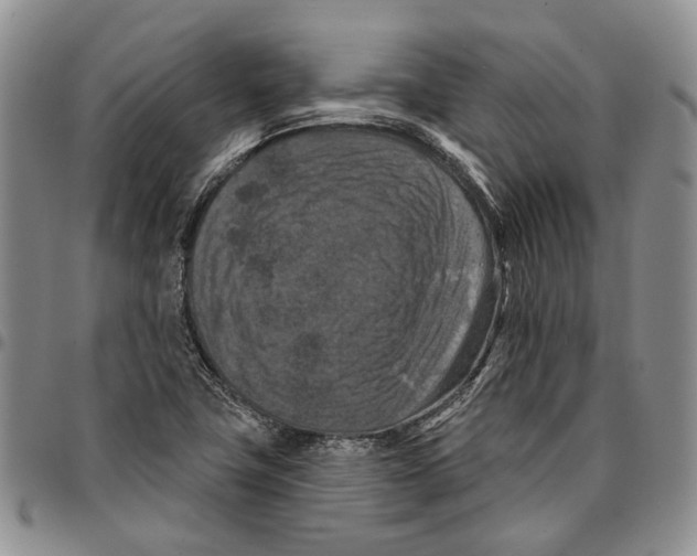 X0000096681411200803041231