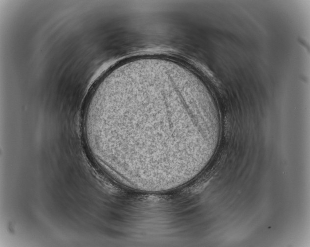 X0000096681412200803041231