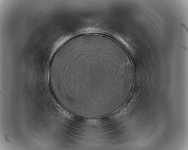 X0000096681413200803041231