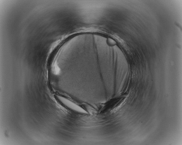 X0000096681414200803041231