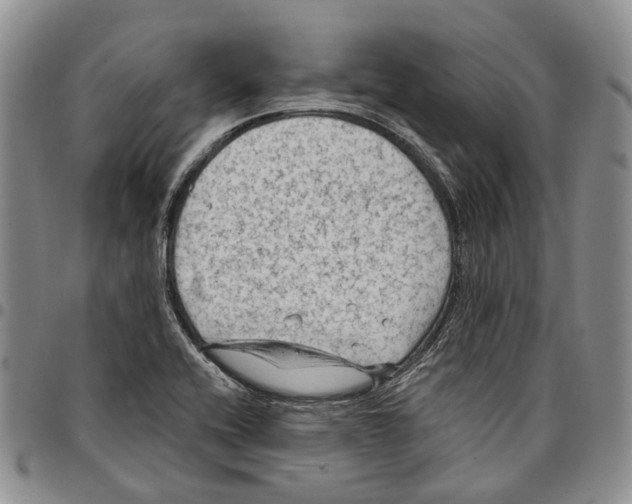 X0000096681416200803041231