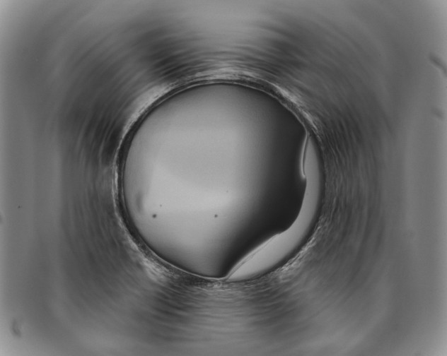 X0000096681418200803041231