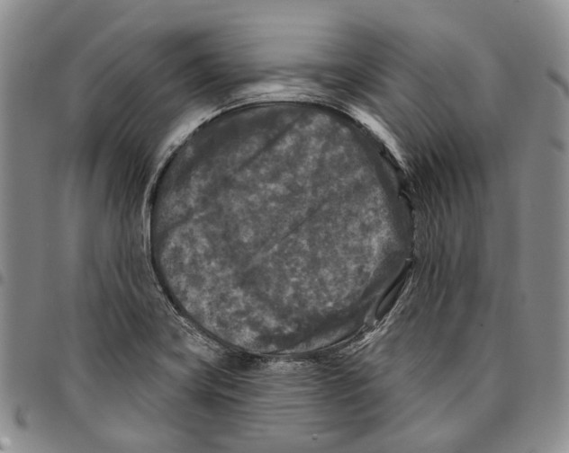 X0000096681419200803041231