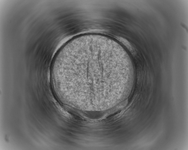 X0000096681420200803041231