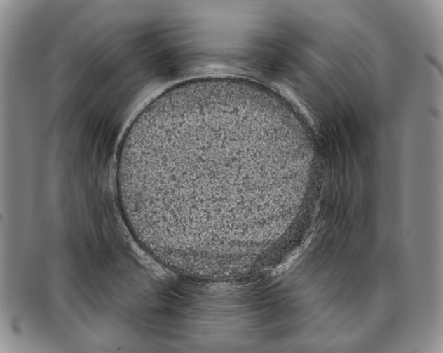 X0000096681421200803041232