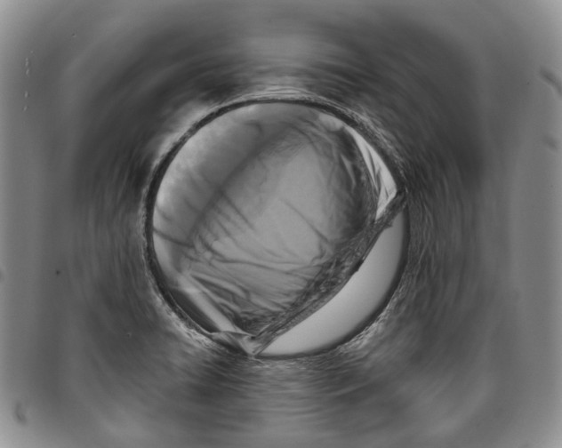 X0000096681422200803041232