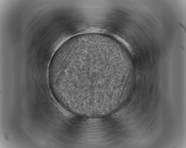 X0000096681423200803041232