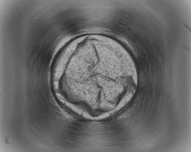 X0000096681424200803041232