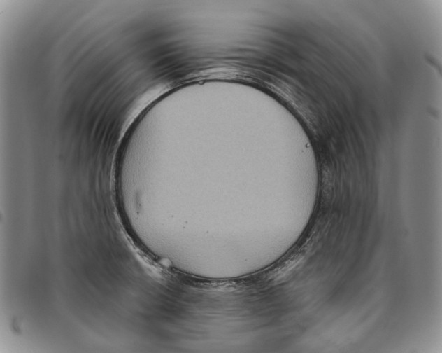 X0000096681426200803041232