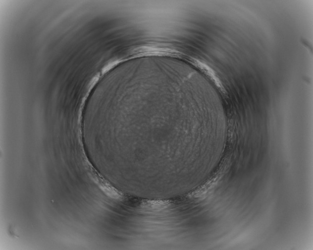 X0000096681427200803041232