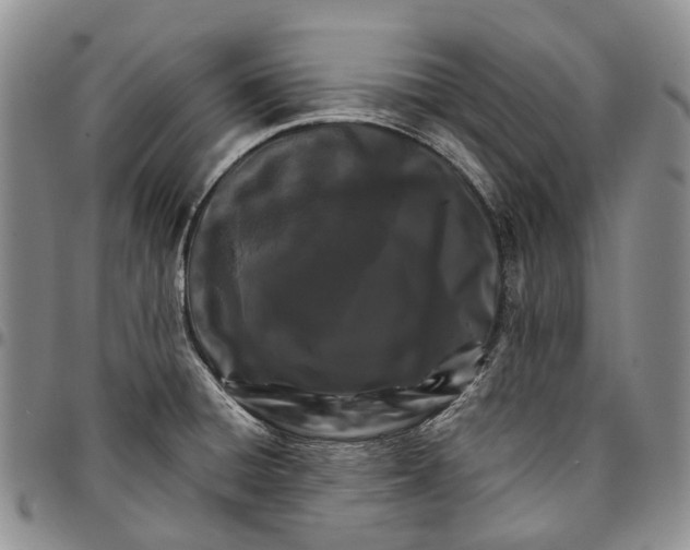 X0000096681428200803041232