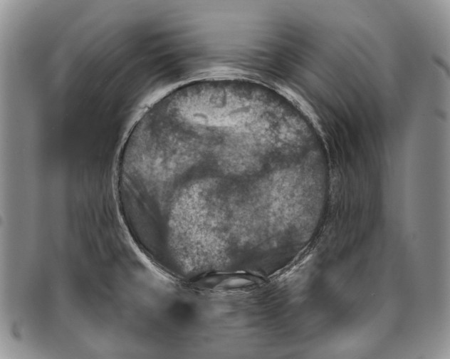 X0000096681429200803041232