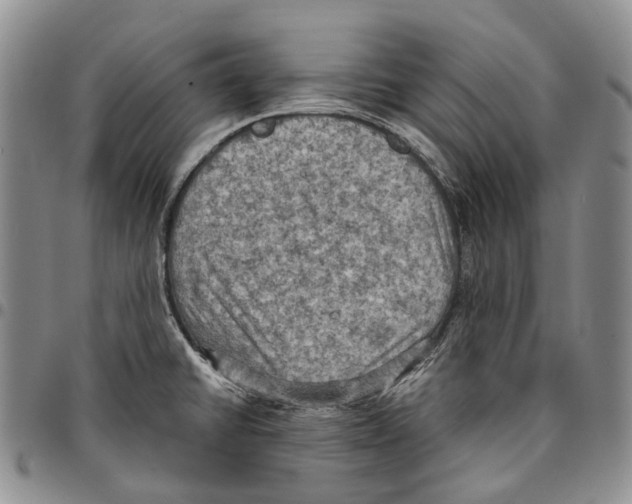 X0000096681430200803041232