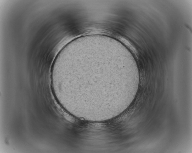 X0000096681431200803041232