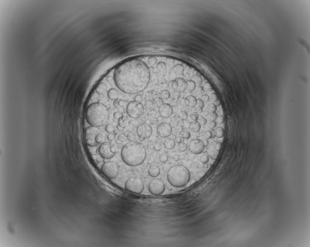 X0000096681432200803041232