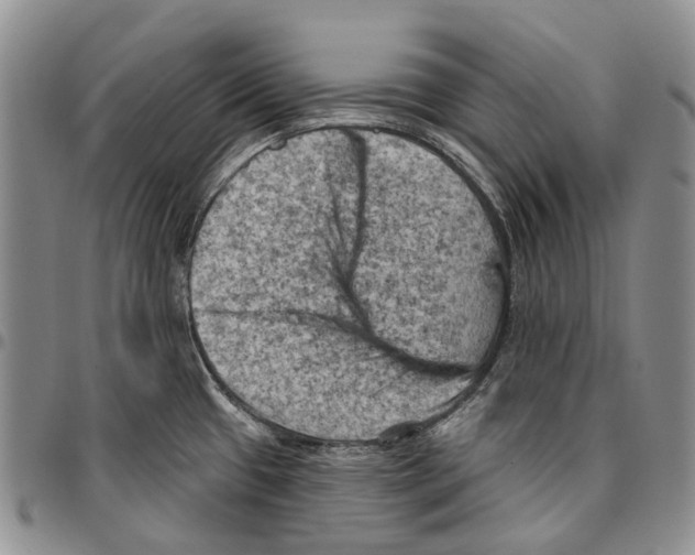 X0000096681433200803041232