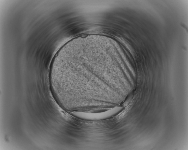 X0000096681434200803041232