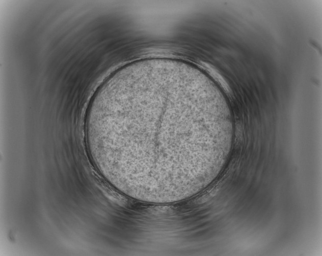X0000096681435200803041232