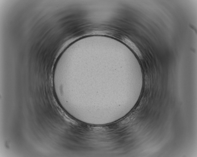 X0000096681436200803041232