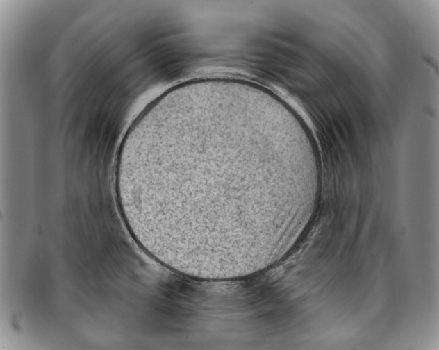 X0000096681437200803041232
