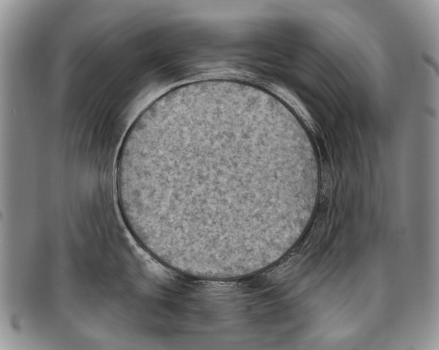 X0000096681439200803041232