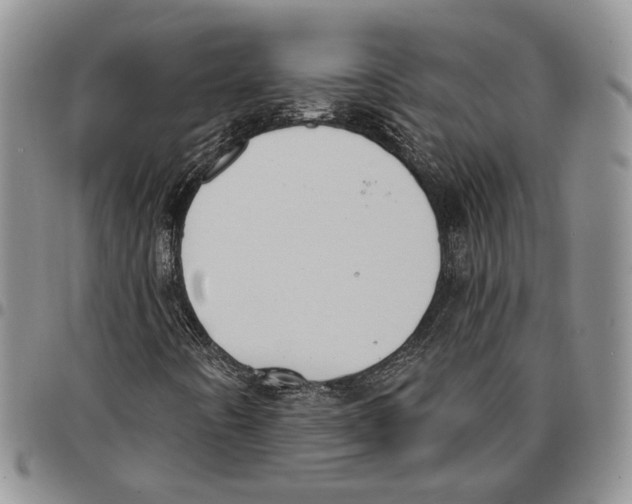 X0000096681442200803041231