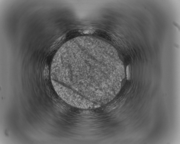 X0000096681443200803041231