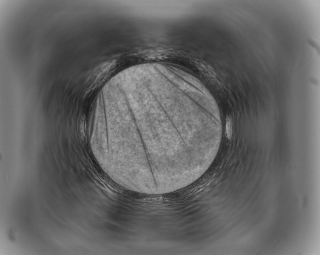X0000096681444200803041231