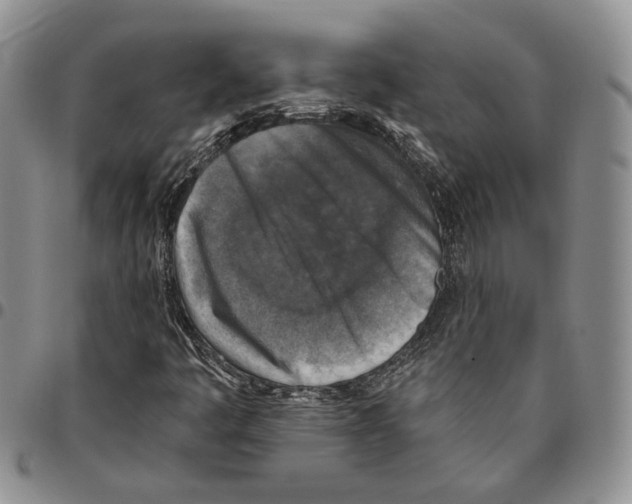 X0000096681445200803041231