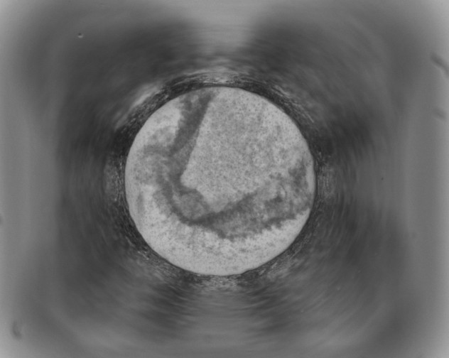 X0000096681446200803041231