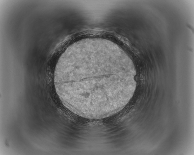 X0000096681447200803041231