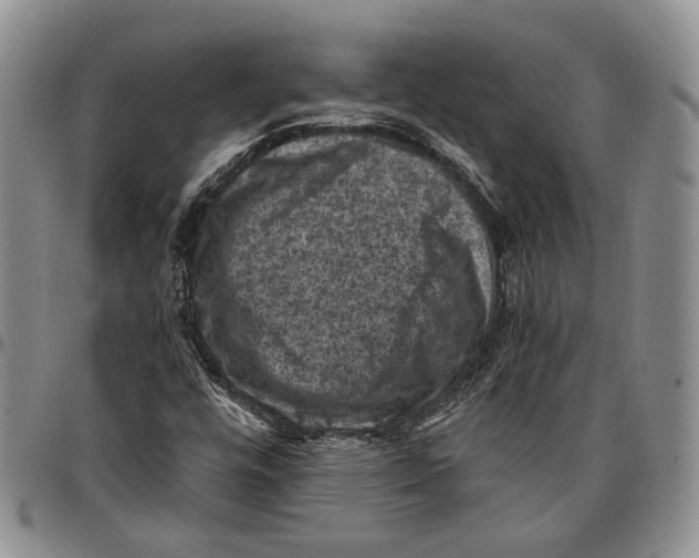 X0000096681448200803041231