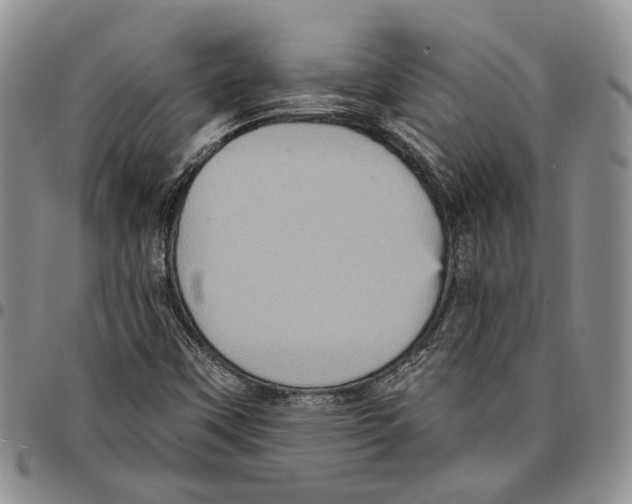 X0000096681451200803041231