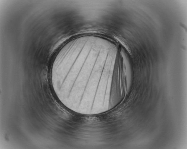 X0000096681452200803041231