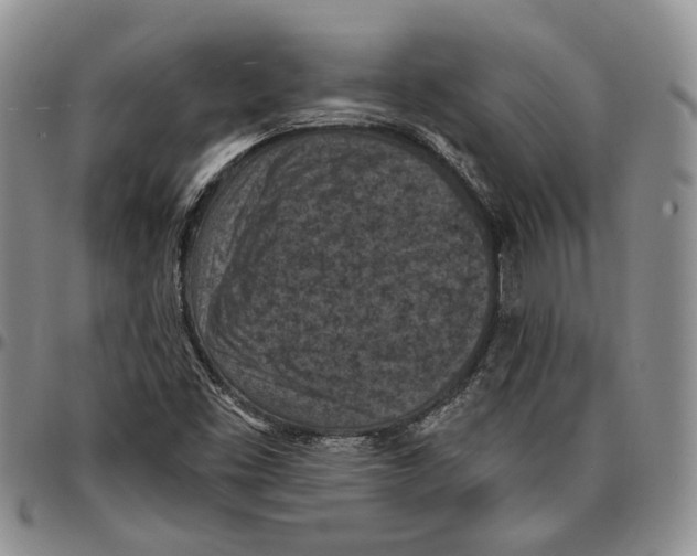 X0000096681453200803041231