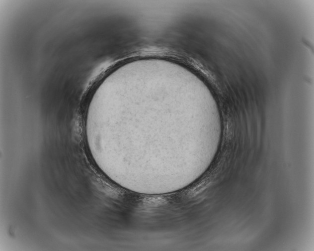 X0000096681454200803041231