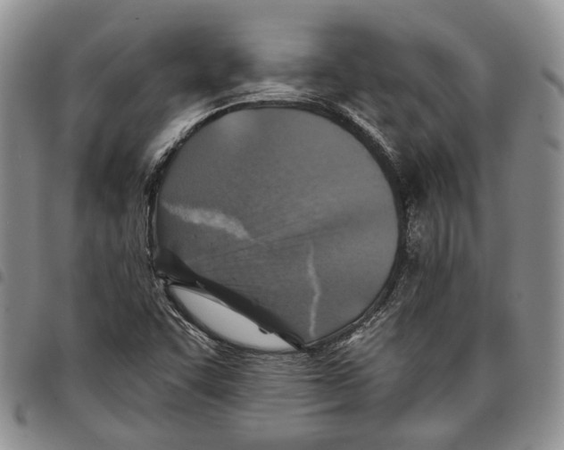 X0000096681455200803041231