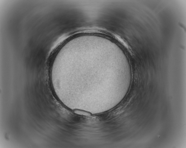 X0000096681456200803041231